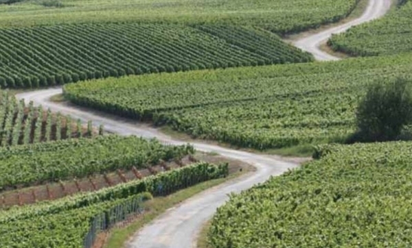 Le Sentier du Vigneron